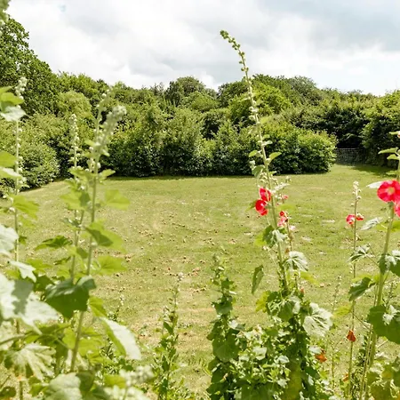 Forester's House By The Forest And
