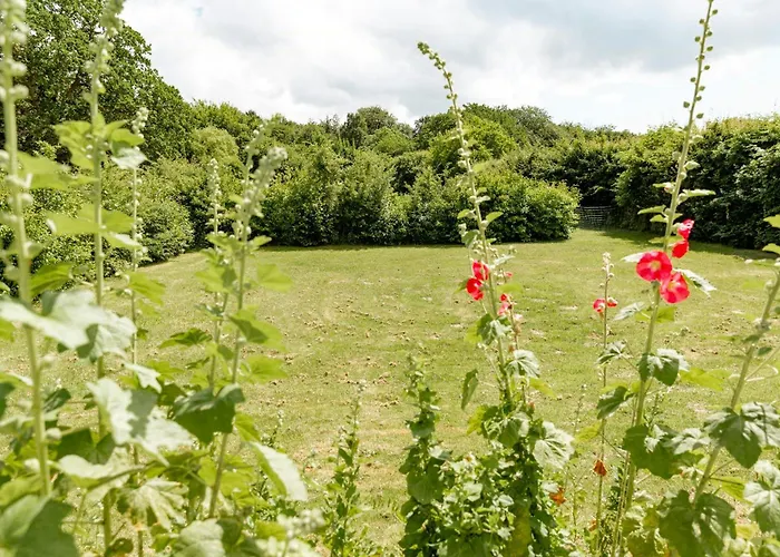 Forester's House By The Forest And